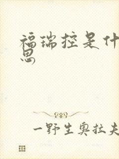 福瑞控是什么意思