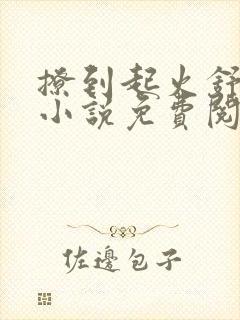 撩到起火舒漾的小说免费阅读全文