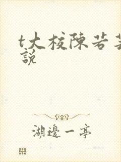 t大校陈若芸小说