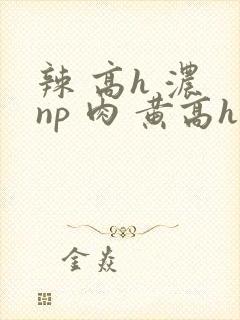 辣 高h 浓 np 肉 黄高h