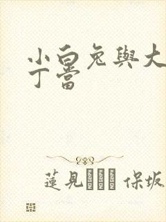 小白兔与大灰狼丁当