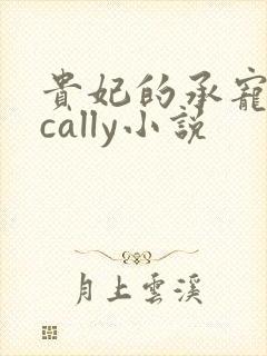 贵妃的承宠日常cally小说