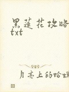 黑莲花攻略手册txt