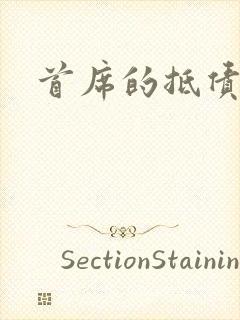 首席的抵债新娘