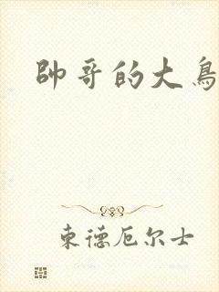 帅哥的大鸟