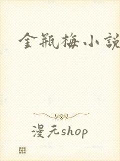 金瓶梅小说在线