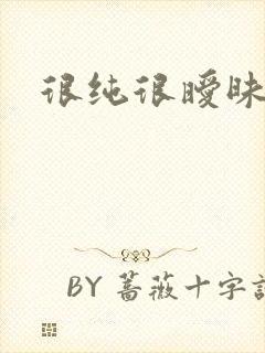 很纯很暧昧小说