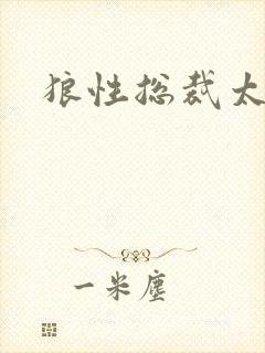 狼性总裁太凶猛