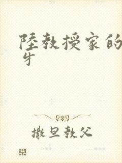 陆教授家的小月牙