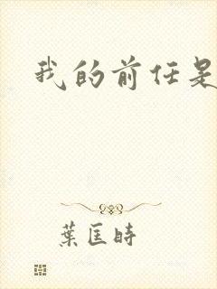 我的前任是极品