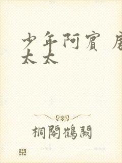 少年阿宾 房东太太