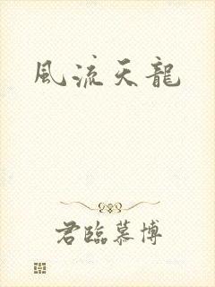 风流天龙
