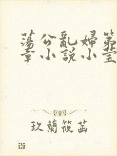 荡公乱妇第51章小说小莹