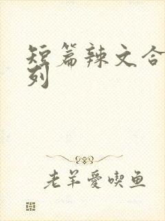 短篇辣文合集系列