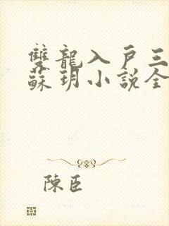 双龙入户三人行苏玥小说全文阅读