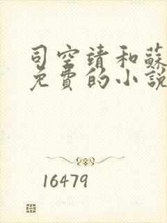 司空靖和苏月汐免费的小说笔趣阁