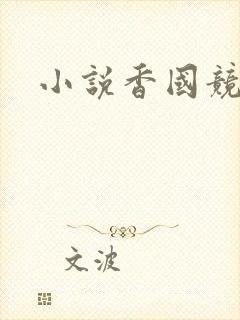 小说香国竞艳