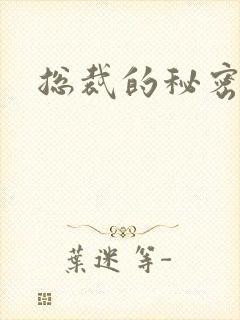 总裁的秘密情人