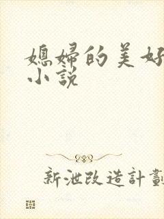 媳妇的美好时代小说