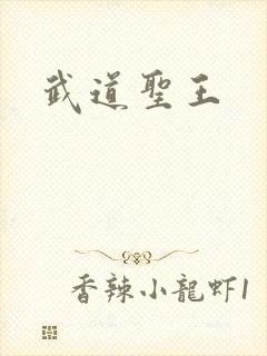 武道圣王