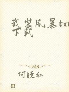 武装风暴txt下载