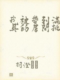 我被带到满是玩具的房间挑调作文