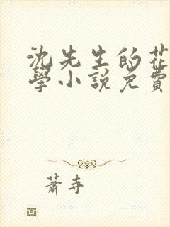 沈先生的花式教学小说免费