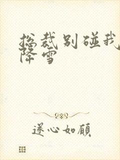 总裁别碰我 韩降雪