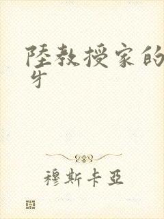 陆教授家的小月牙