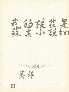 我的校花是福姬苏柔小说txt