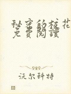 秘密的校花小说免费阅读