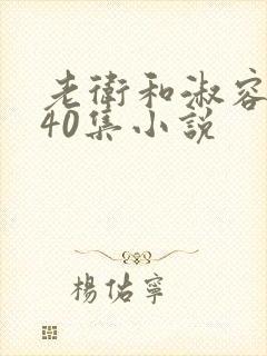 老卫和淑容1-40集小说