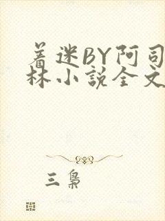 着迷BY阿司匹林小说全文免费阅读