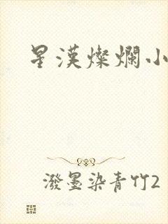 星汉灿烂小说