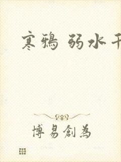 寒鸦 弱水千流