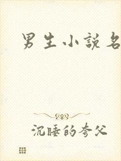 男生小说名字