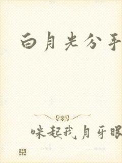 白月光分手日常