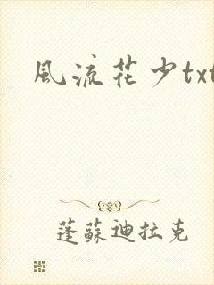 风流花少txt