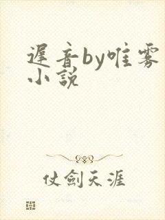 迟音by唯雾的小说