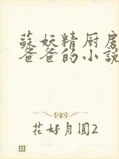 苏妖精厨房爹爹爸爸的小说