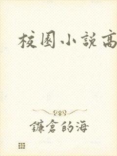 校园小说高h