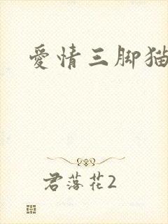 爱情三脚猫