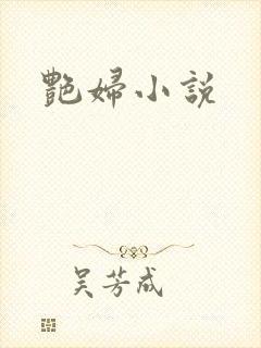 艳妇小说