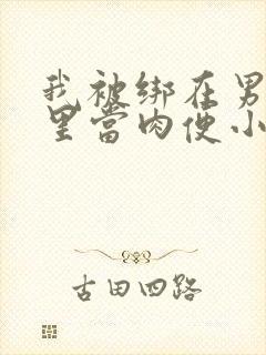 我被绑在男公厕里当肉便小说