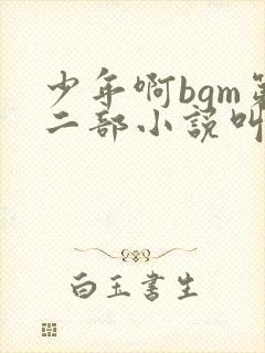 少年啊bgm第二部小说叫什么