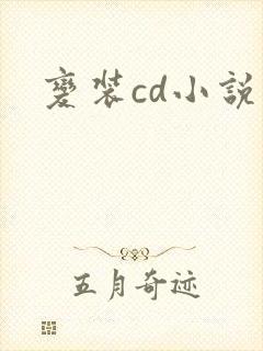 变装cd小说