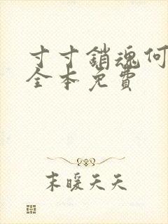 寸寸销魂何生祥全本免费