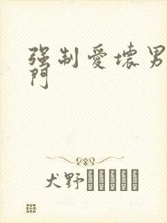 强制爱坏男送上门