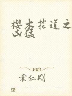 樱木花道之重生凶猛