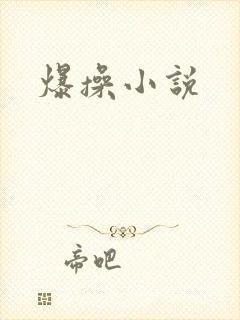 爆操小说